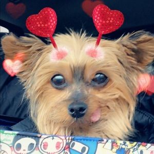 Meet your Posher, Cortney